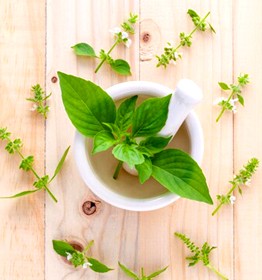 What does Tulsi (Basil) do to our Skin?